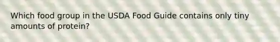 Which food group in the USDA Food Guide contains only tiny amounts of protein?