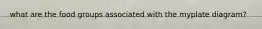 what are the food groups associated with the myplate diagram?