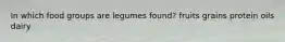 In which food groups are legumes found? fruits grains protein oils dairy
