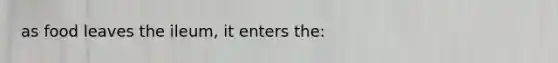 as food leaves the ileum, it enters the: