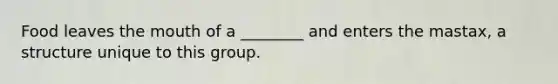 Food leaves the mouth of a ________ and enters the mastax, a structure unique to this group.