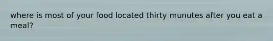 where is most of your food located thirty munutes after you eat a meal?