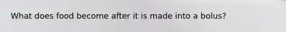 What does food become after it is made into a bolus?