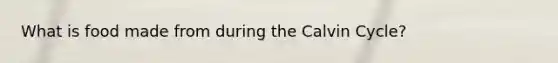 What is food made from during the Calvin Cycle?