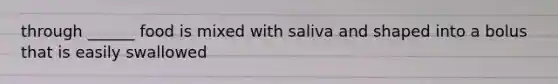 through ______ food is mixed with saliva and shaped into a bolus that is easily swallowed