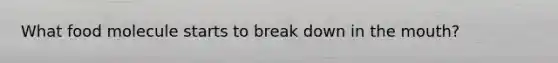 What food molecule starts to break down in the mouth?