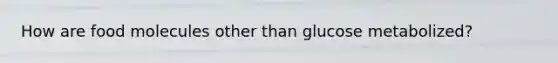 How are food molecules other than glucose metabolized?