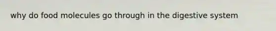 why do food molecules go through in the digestive system