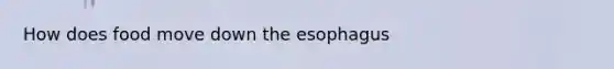 How does food move down the esophagus