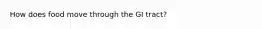 How does food move through the GI tract?