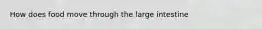 How does food move through the large intestine