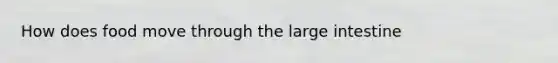 How does food move through the large intestine