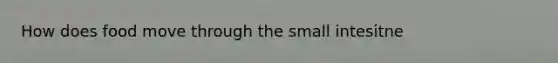 How does food move through the small intesitne