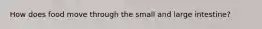 How does food move through the small and large intestine?