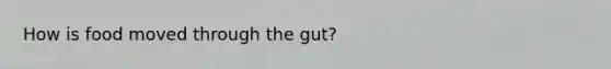 How is food moved through the gut?