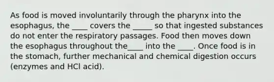 As food is moved involuntarily through the pharynx into the esophagus, the ____ covers the _____ so that ingested substances do not enter the respiratory passages. Food then moves down the esophagus throughout the____ into the ____. Once food is in the stomach, further mechanical and chemical digestion occurs (enzymes and HCl acid).