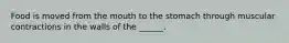 Food is moved from the mouth to the stomach through muscular contractions in the walls of the ______.