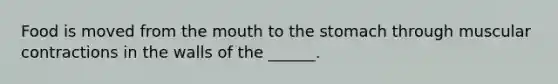 Food is moved from <a href='https://www.questionai.com/knowledge/krBoWYDU6j-the-mouth' class='anchor-knowledge'>the mouth</a> to <a href='https://www.questionai.com/knowledge/kLccSGjkt8-the-stomach' class='anchor-knowledge'>the stomach</a> through muscular contractions in the walls of the ______.