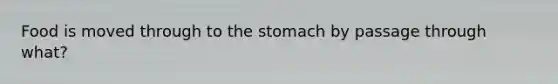 Food is moved through to the stomach by passage through what?