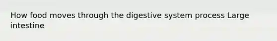 How food moves through the digestive system process <a href='https://www.questionai.com/knowledge/kGQjby07OK-large-intestine' class='anchor-knowledge'>large intestine</a>