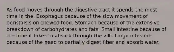 As food moves through the digestive tract it spends the most time in the: Esophagus because of the slow movement of peristalsis on chewed food. Stomach because of the extensive breakdown of carbohydrates and fats. Small intestine because of the time it takes to absorb through the villi. Large intestine because of the need to partially digest fiber and absorb water.