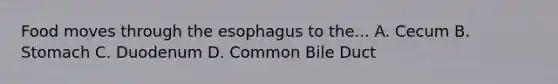 Food moves through <a href='https://www.questionai.com/knowledge/kSjVhaa9qF-the-esophagus' class='anchor-knowledge'>the esophagus</a> to the... A. Cecum B. Stomach C. Duodenum D. Common Bile Duct