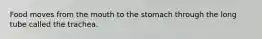 Food moves from the mouth to the stomach through the long tube called the trachea.
