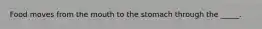 Food moves from the mouth to the stomach through the _____.