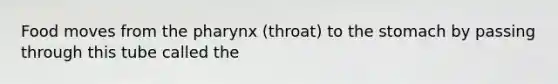 Food moves from <a href='https://www.questionai.com/knowledge/ktW97n6hGJ-the-pharynx' class='anchor-knowledge'>the pharynx</a> (throat) to <a href='https://www.questionai.com/knowledge/kLccSGjkt8-the-stomach' class='anchor-knowledge'>the stomach</a> by passing through this tube called the