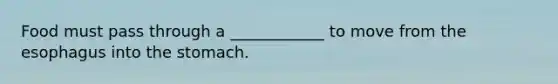 Food must pass through a ____________ to move from <a href='https://www.questionai.com/knowledge/kSjVhaa9qF-the-esophagus' class='anchor-knowledge'>the esophagus</a> into <a href='https://www.questionai.com/knowledge/kLccSGjkt8-the-stomach' class='anchor-knowledge'>the stomach</a>.