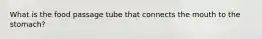 What is the food passage tube that connects the mouth to the stomach?