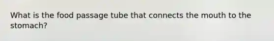 What is the food passage tube that connects <a href='https://www.questionai.com/knowledge/krBoWYDU6j-the-mouth' class='anchor-knowledge'>the mouth</a> to <a href='https://www.questionai.com/knowledge/kLccSGjkt8-the-stomach' class='anchor-knowledge'>the stomach</a>?