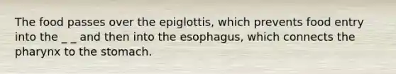 The food passes over the epiglottis, which prevents food entry into the _ _ and then into the esophagus, which connects the pharynx to the stomach.