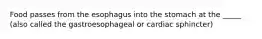 Food passes from the esophagus into the stomach at the _____ (also called the gastroesophageal or cardiac sphincter)