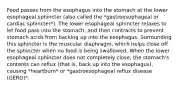 Food passes from the esophagus into the stomach at the lower esophageal sphincter (also called the *gastroesophageal or cardiac sphincter*). The lower esophageal sphincter relaxes to let food pass into the stomach, and then contracts to prevent stomach acids from backing up into the esophagus. Surrounding this sphincter is the muscular diaphragm, which helps close off the sphincter when no food is being swallowed. When the lower esophageal sphincter does not completely close, the stomach's contents can reflux (that is, back up into the esophagus), causing *heartburn* or *gastroesophageal reflux disease (GERD)*.