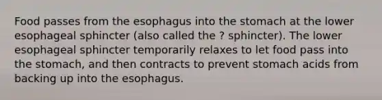 Food passes from <a href='https://www.questionai.com/knowledge/kSjVhaa9qF-the-esophagus' class='anchor-knowledge'>the esophagus</a> into <a href='https://www.questionai.com/knowledge/kLccSGjkt8-the-stomach' class='anchor-knowledge'>the stomach</a> at the lower esophageal sphincter (also called the ? sphincter). The lower esophageal sphincter temporarily relaxes to let food pass into the stomach, and then contracts to prevent stomach acids from backing up into the esophagus.