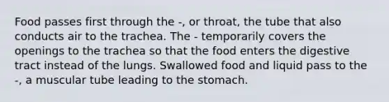 Food passes first through the -, or throat, the tube that also conducts air to the trachea. The - temporarily covers the openings to the trachea so that the food enters the digestive tract instead of the lungs. Swallowed food and liquid pass to the -, a muscular tube leading to the stomach.