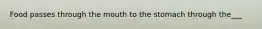 Food passes through the mouth to the stomach through the___