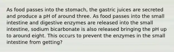 As food passes into the stomach, the gastric juices are secreted and produce a pH of around three. As food passes into the small intestine and digestive enzymes are released into the small intestine, sodium bicarbonate is also released bringing the pH up to around eight. This occurs to prevent the enzymes in the small intestine from getting?