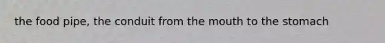 the food pipe, the conduit from the mouth to the stomach