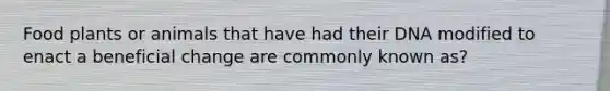 Food plants or animals that have had their DNA modified to enact a beneficial change are commonly known as?