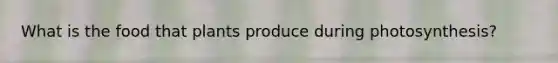 What is the food that plants produce during photosynthesis?