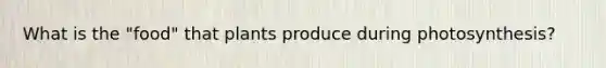 What is the "food" that plants produce during photosynthesis?