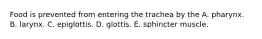 Food is prevented from entering the trachea by the A. pharynx. B. larynx. C. epiglottis. D. glottis. E. sphincter muscle.