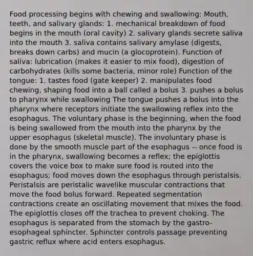 Food processing begins with chewing and swallowing: Mouth, teeth, and salivary glands: 1. mechanical breakdown of food begins in the mouth (oral cavity) 2. salivary glands secrete saliva into the mouth 3. saliva contains salivary amylase (digests, breaks down carbs) and mucin (a glocoprotein). Function of saliva: lubrication (makes it easier to mix food), digestion of carbohydrates (kills some bacteria, minor role) Function of the tongue: 1. tastes food (gate keeper) 2. manipulates food chewing, shaping food into a ball called a bolus 3. pushes a bolus to pharynx while swallowing The tongue pushes a bolus into the pharynx where receptors initiate the swallowing reflex into the esophagus. The voluntary phase is the beginning, when the food is being swallowed from the mouth into the pharynx by the upper esophagus (skeletal muscle). The involuntary phase is done by the smooth muscle part of the esophagus -- once food is in the pharynx, swallowing becomes a reflex; the epiglottis covers the voice box to make sure food is routed into the esophagus; food moves down the esophagus through peristalsis. Peristalsis are peristalic wavelike muscular contractions that move the food bolus forward. Repeated segmentation contractions create an oscillating movement that mixes the food. The epiglottis closes off the trachea to prevent choking. The esophagus is separated from the stomach by the gastro-esophageal sphincter. Sphincter controls passage preventing gastric reflux where acid enters esophagus.