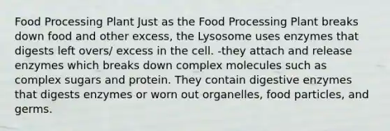 Food Processing Plant Just as the Food Processing Plant breaks down food and other excess, the Lysosome uses enzymes that digests left overs/ excess in the cell. -they attach and release enzymes which breaks down complex molecules such as complex sugars and protein. They contain digestive enzymes that digests enzymes or worn out organelles, food particles, and germs.