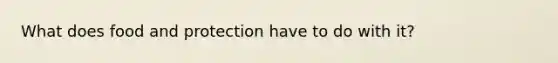 What does food and protection have to do with it?