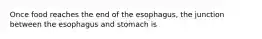 Once food reaches the end of the esophagus, the junction between the esophagus and stomach is