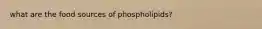 what are the food sources of phospholipids?