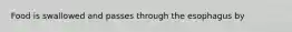 Food is swallowed and passes through the esophagus by